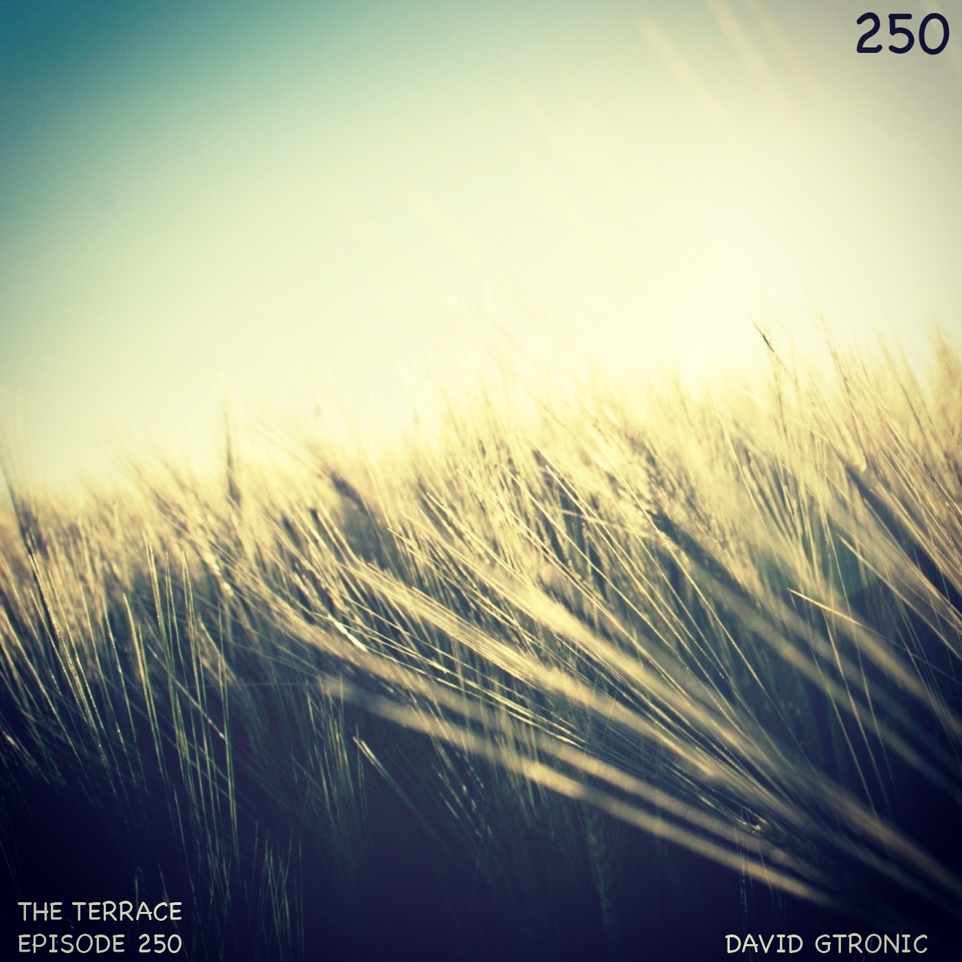 Episode_250_The_Terrace_David_Gtronic.jpg