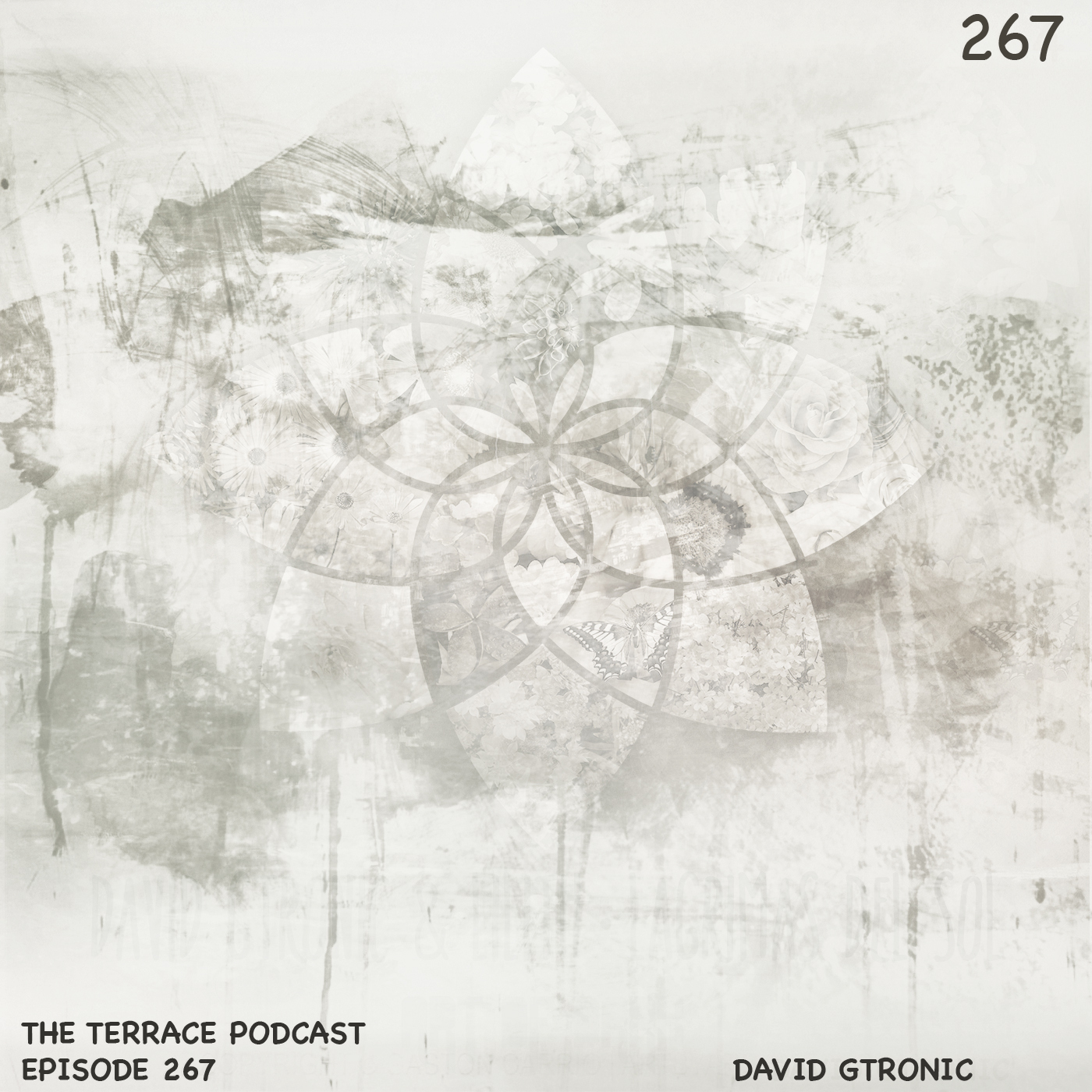 Episode_267_The_Terrace_David_Gtronic